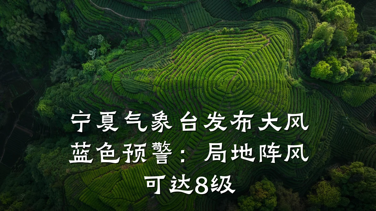 宁夏气象台发布大风蓝色预警:局地阵风可达8级