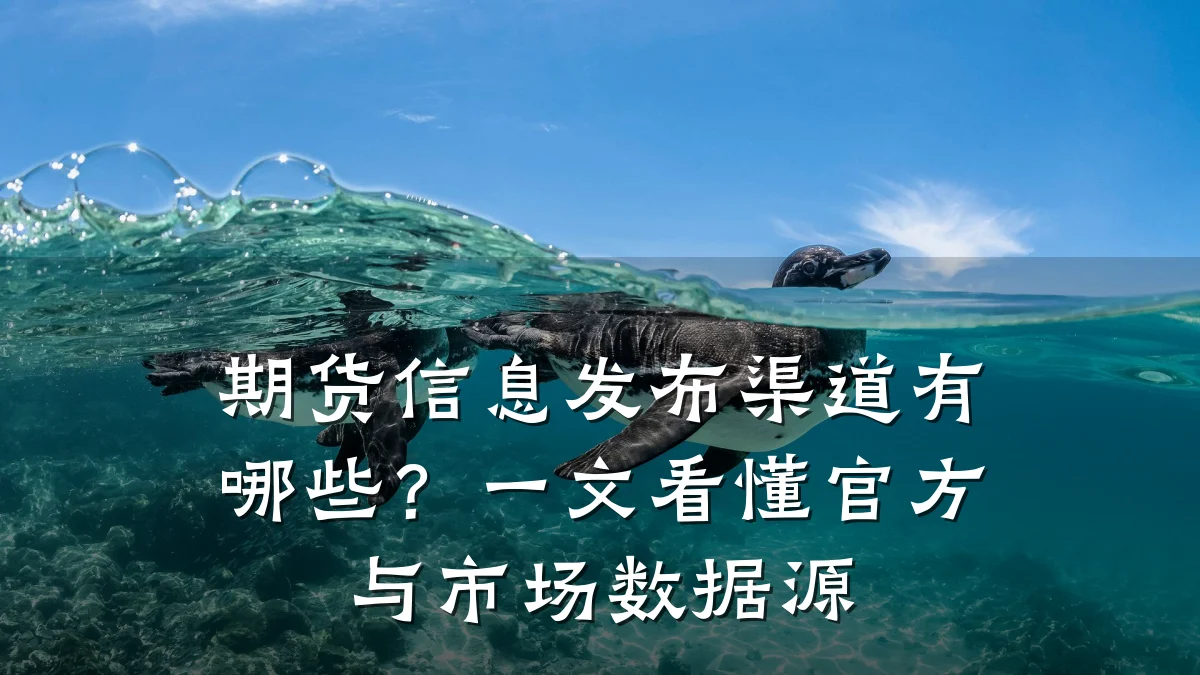 期货信息发布渠道有哪些?一文看懂官方与市场数据源