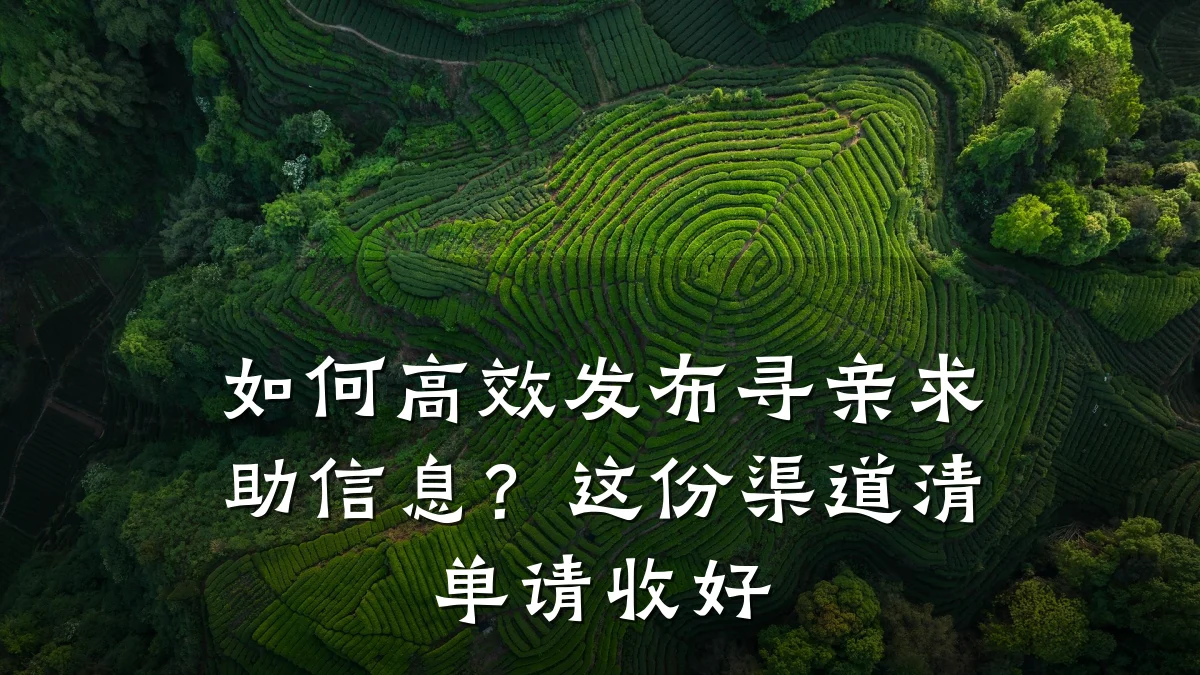 如何高效发布寻亲求助信息?这份渠道清单请收好