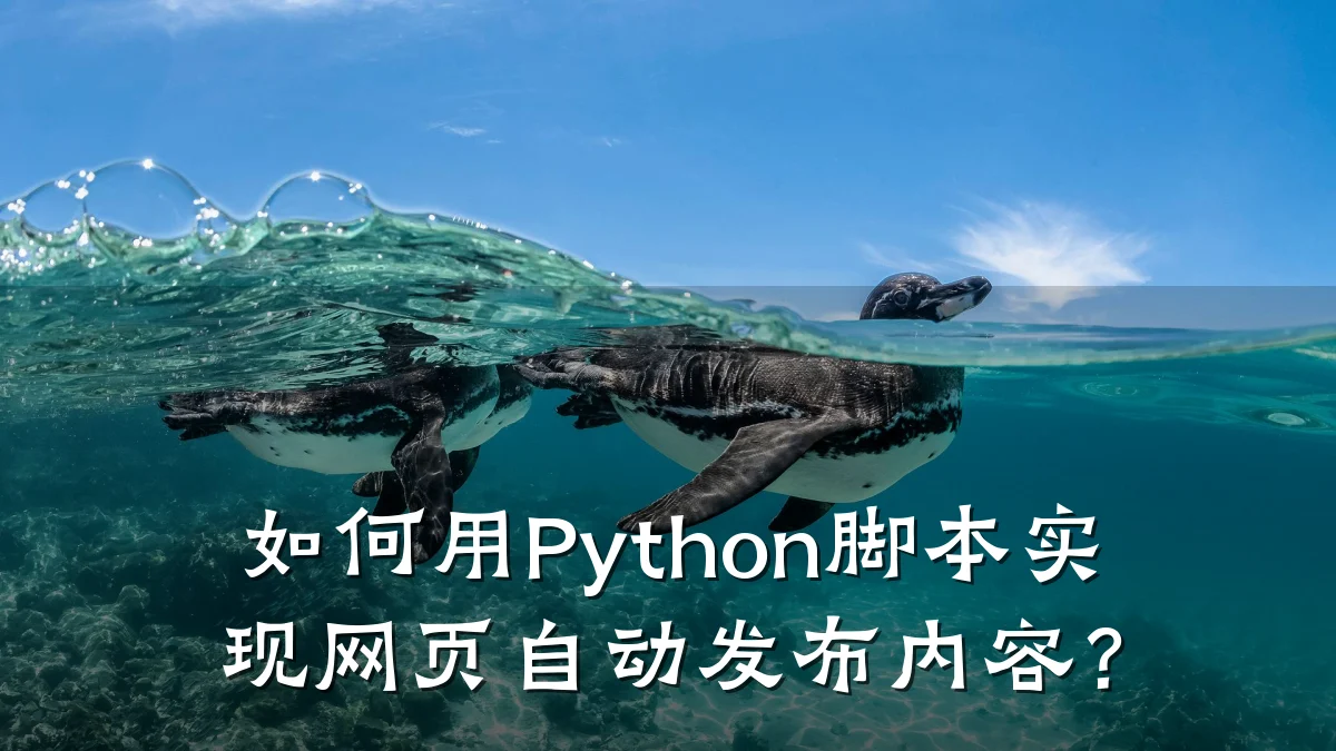 如何用Python脚本实现网页自动发布内容?
