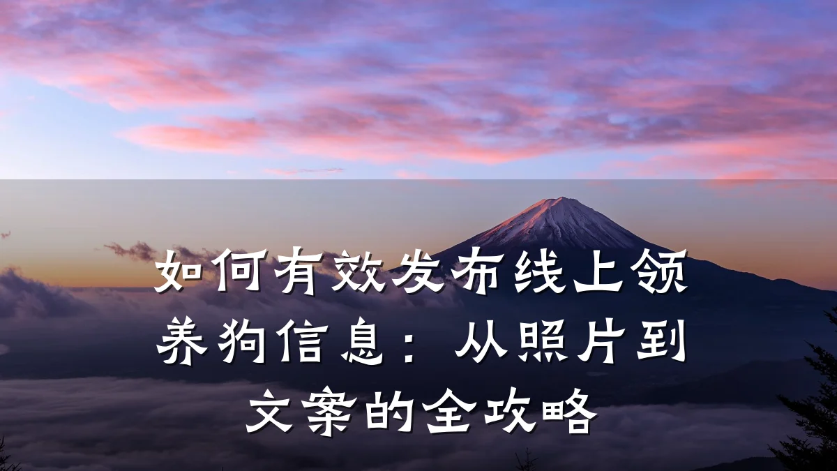 如何有效发布线上领养狗信息:从照片到文案的全攻略