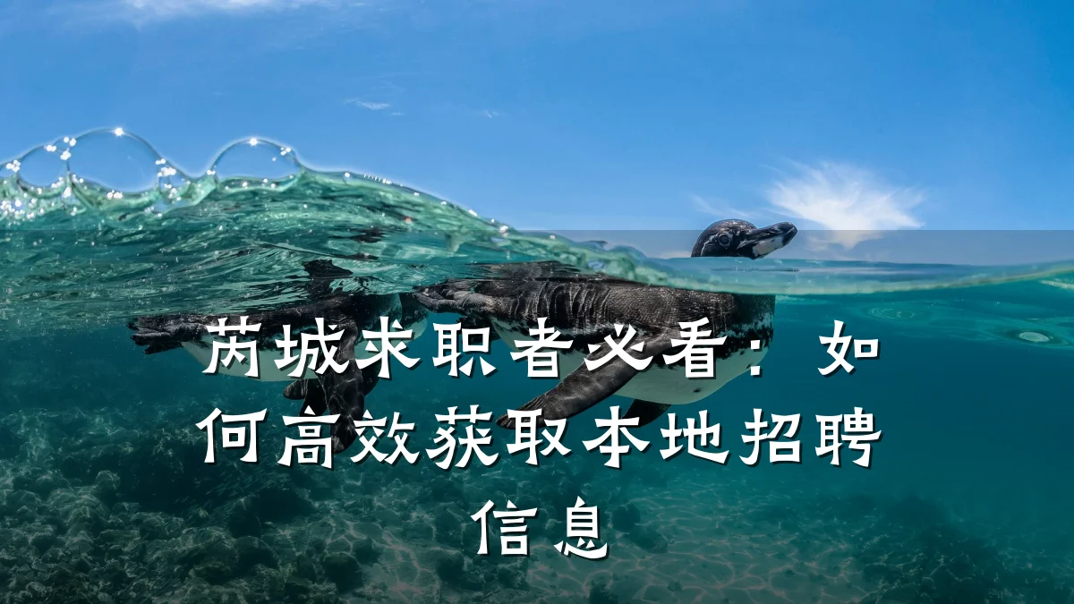 芮城求职者必看:如何高效获取本地招聘信息