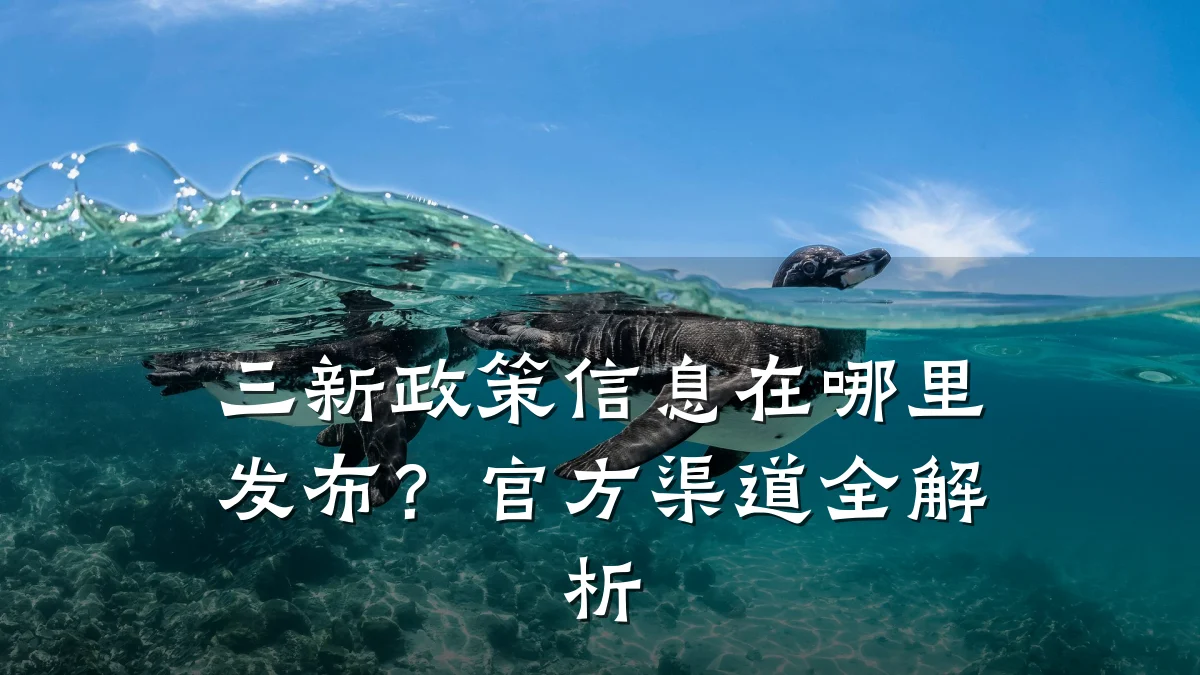 三新政策信息在哪里发布?官方渠道全解析