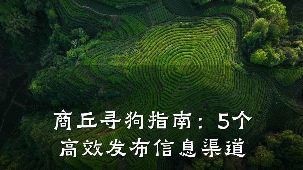 商丘寻狗指南:5个高效发布信息渠道
