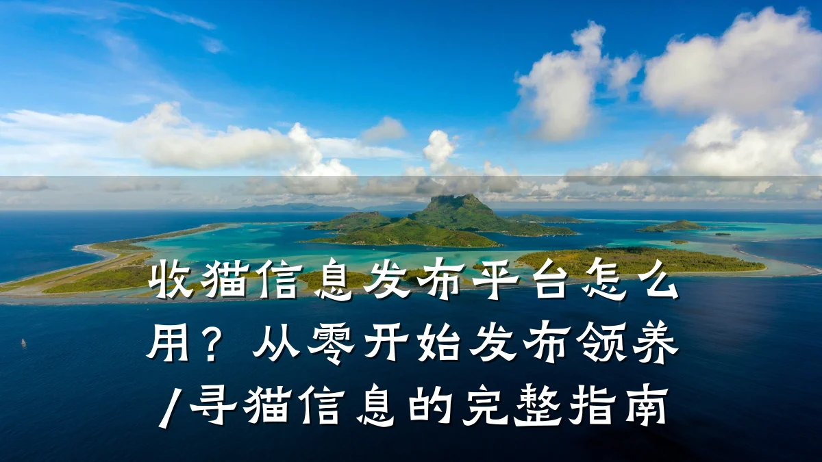 收猫信息发布平台怎么用?从零开始发布领养/寻猫信息的完整指南