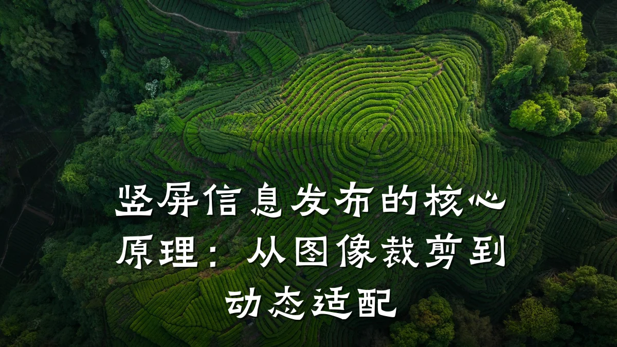 竖屏信息发布的核心原理:从图像裁剪到动态适配