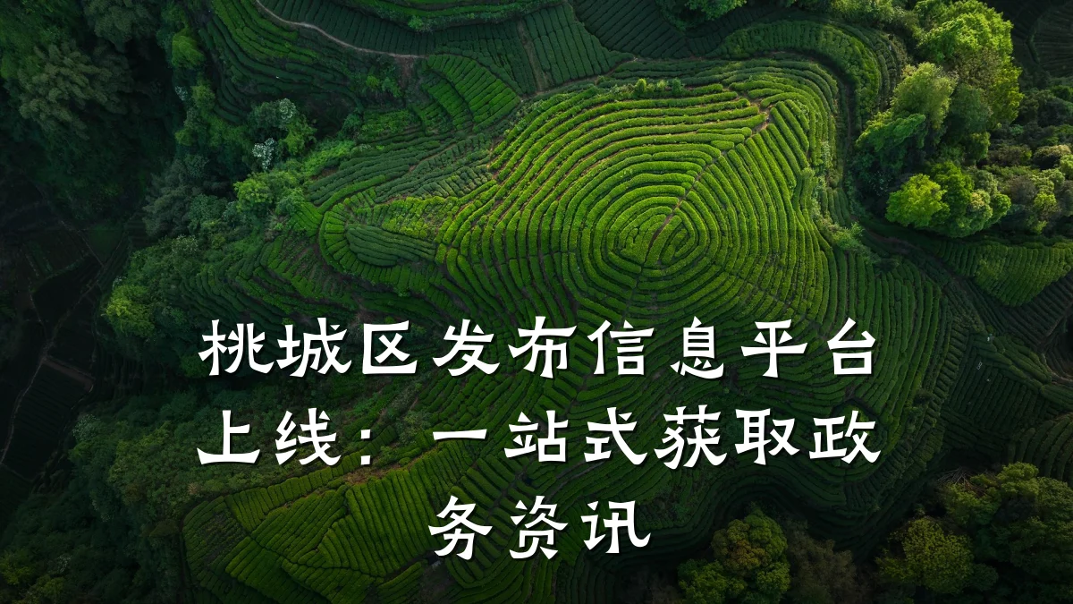 桃城区发布信息平台上线:一站式获取政务资讯
