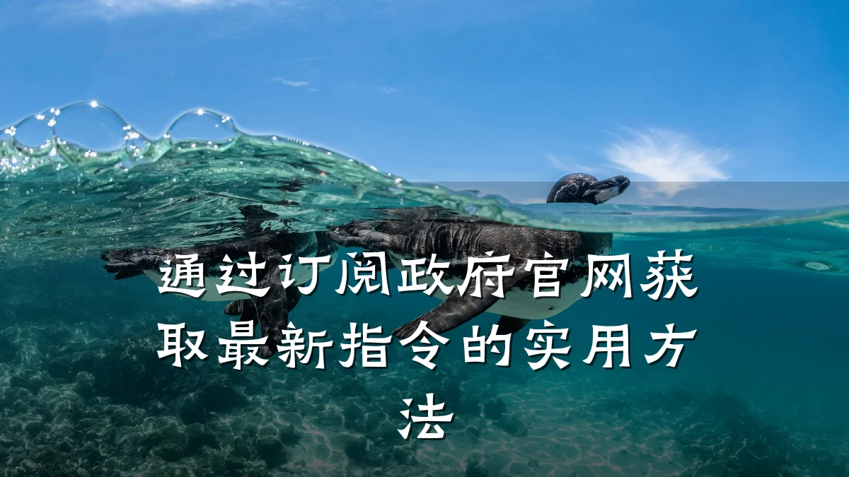 通过订阅政府官网获取最新指令的实用方法