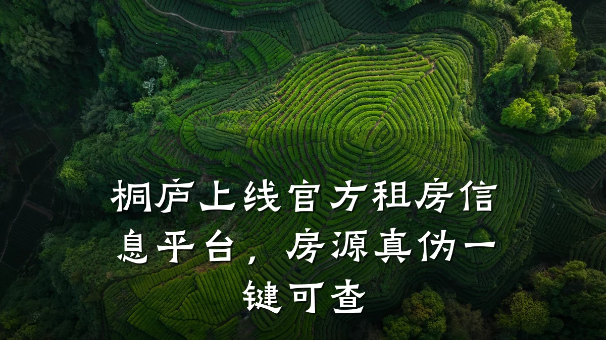 桐庐上线官方租房信息平台,房源真伪一键可查