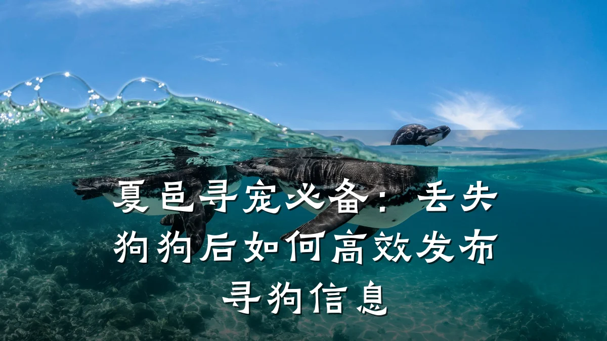 夏邑寻宠必备：丢失狗狗后如何高效发布寻狗信息