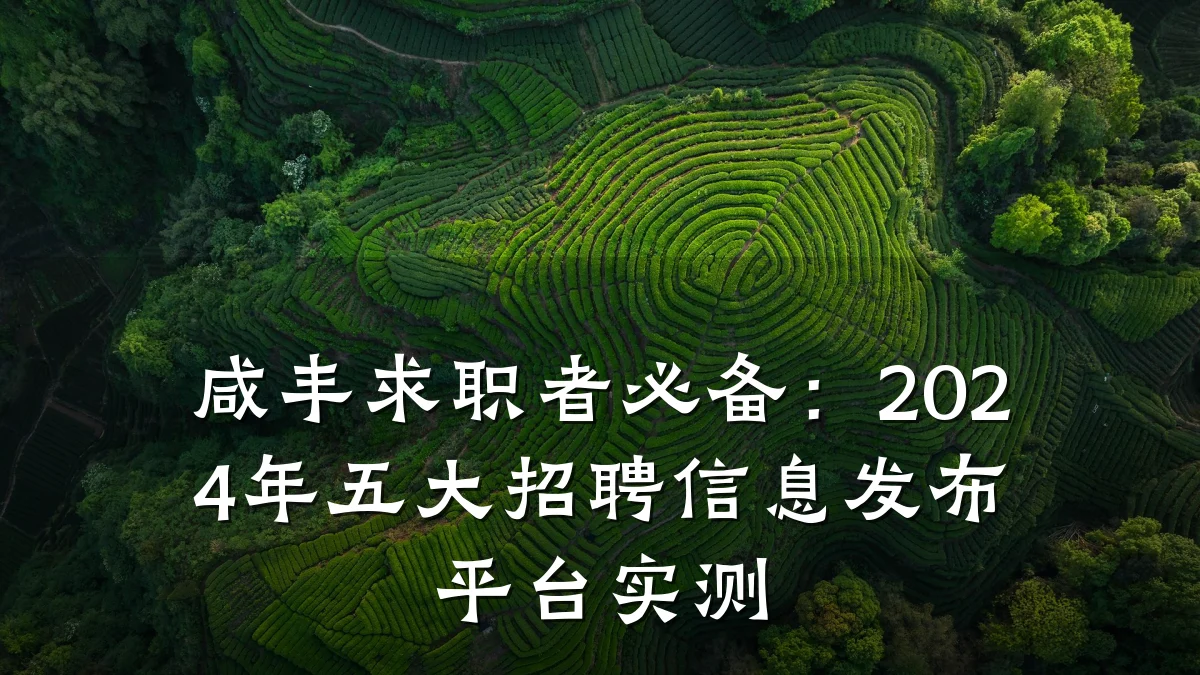 咸丰求职者必备:2024年五大招聘信息发布平台实测