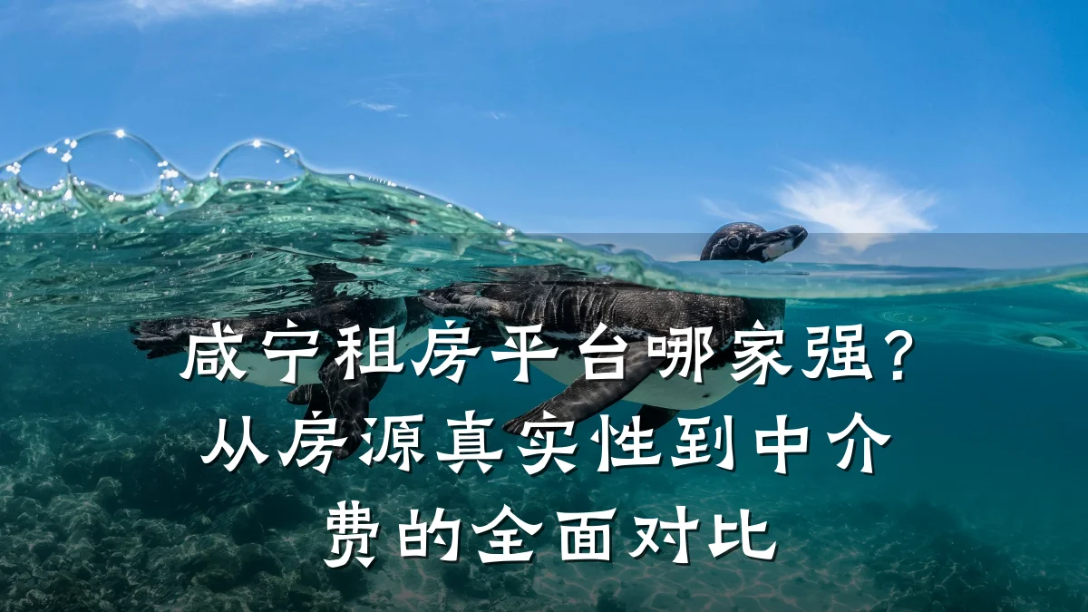 咸宁租房平台哪家强?从房源真实性到中介费的全面对比