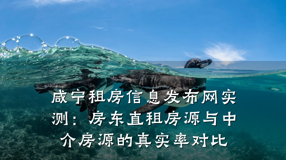 咸宁租房信息发布网实测:房东直租房源与中介房源的真实率对比