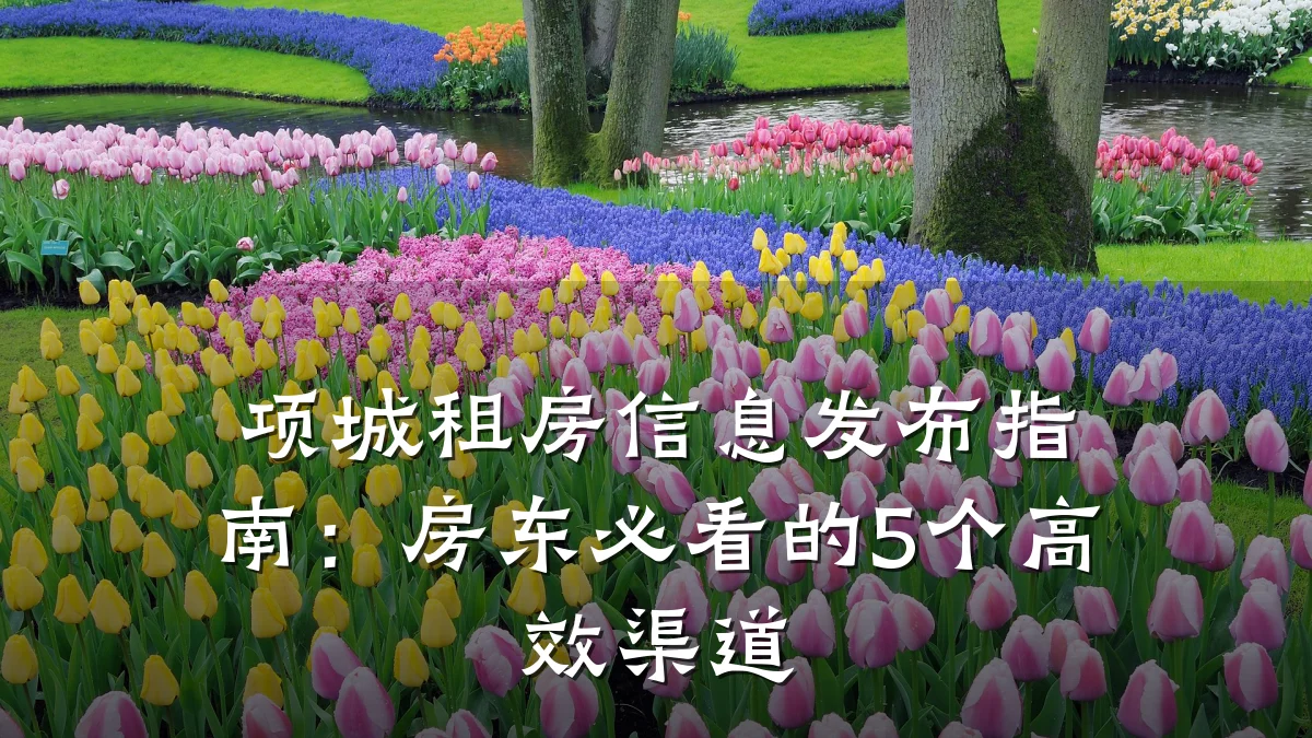 项城租房信息发布指南:房东必看的5个高效渠道