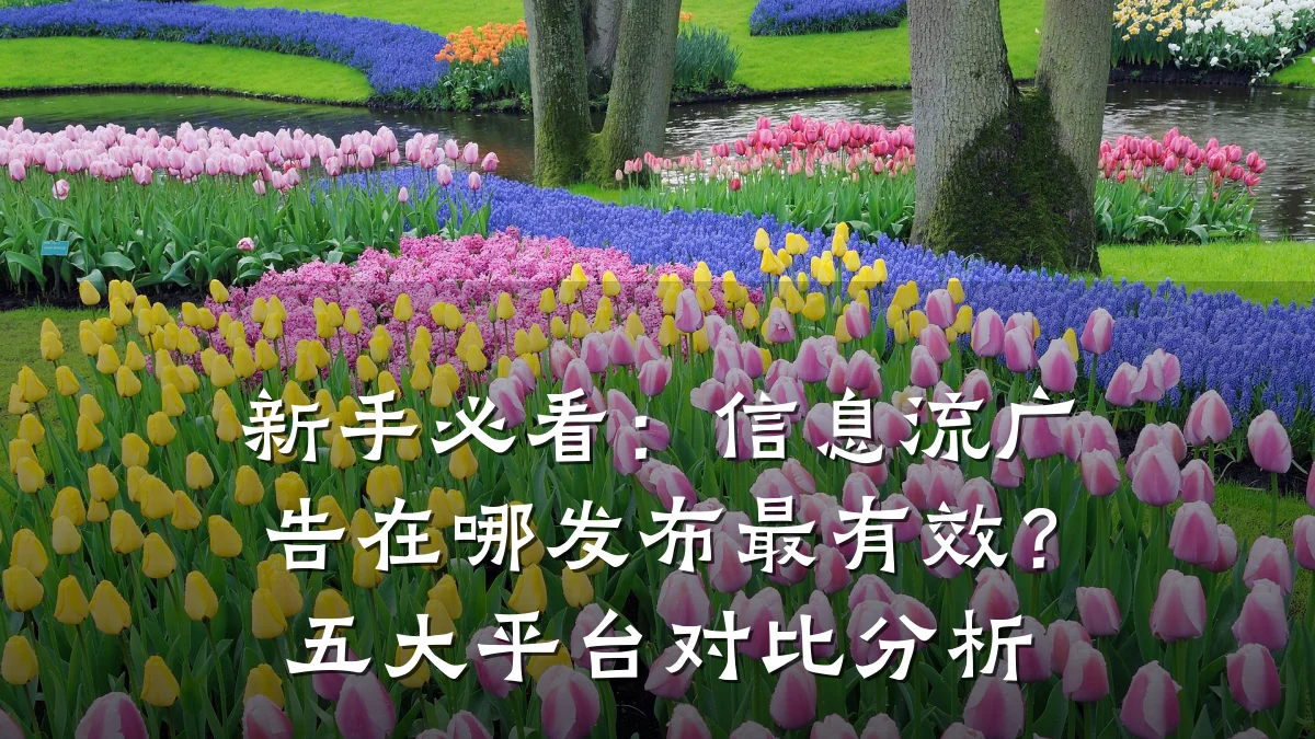 新手必看:信息流广告在哪发布最有效?五大平台对比分析