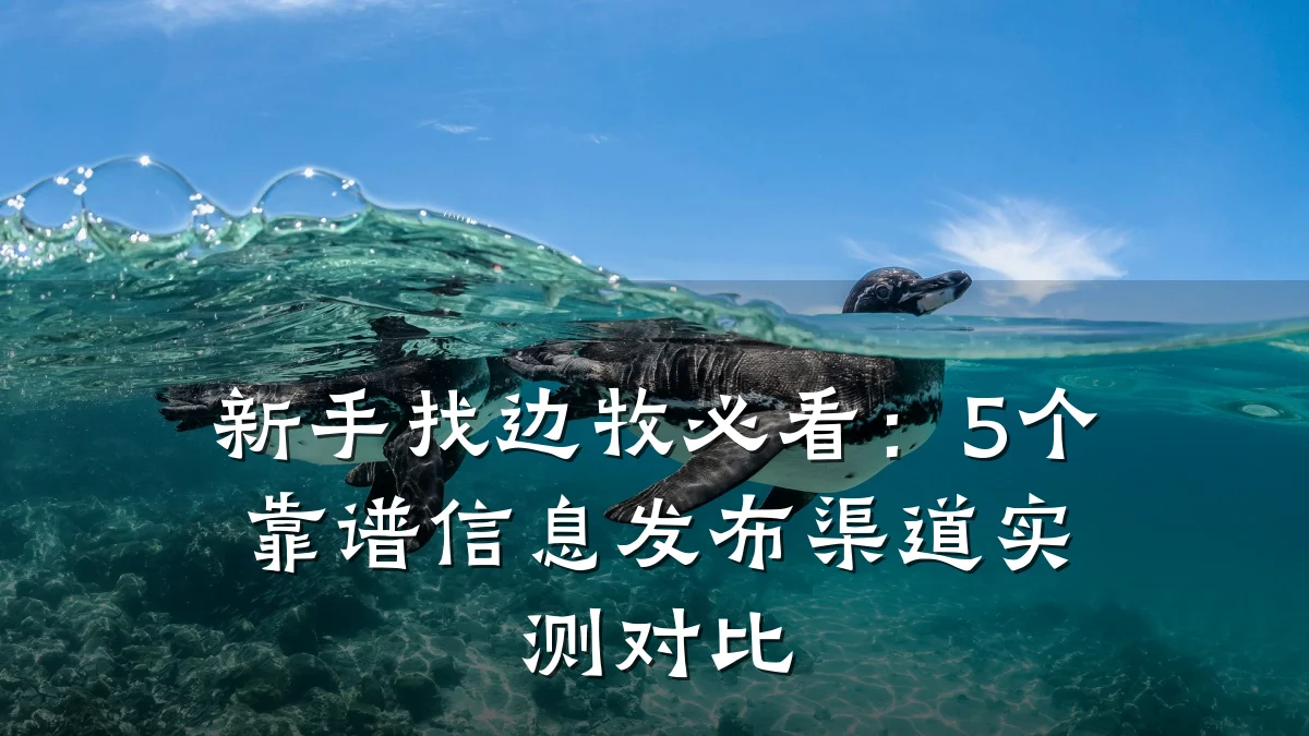 新手找边牧必看:5个靠谱信息发布渠道实测对比
