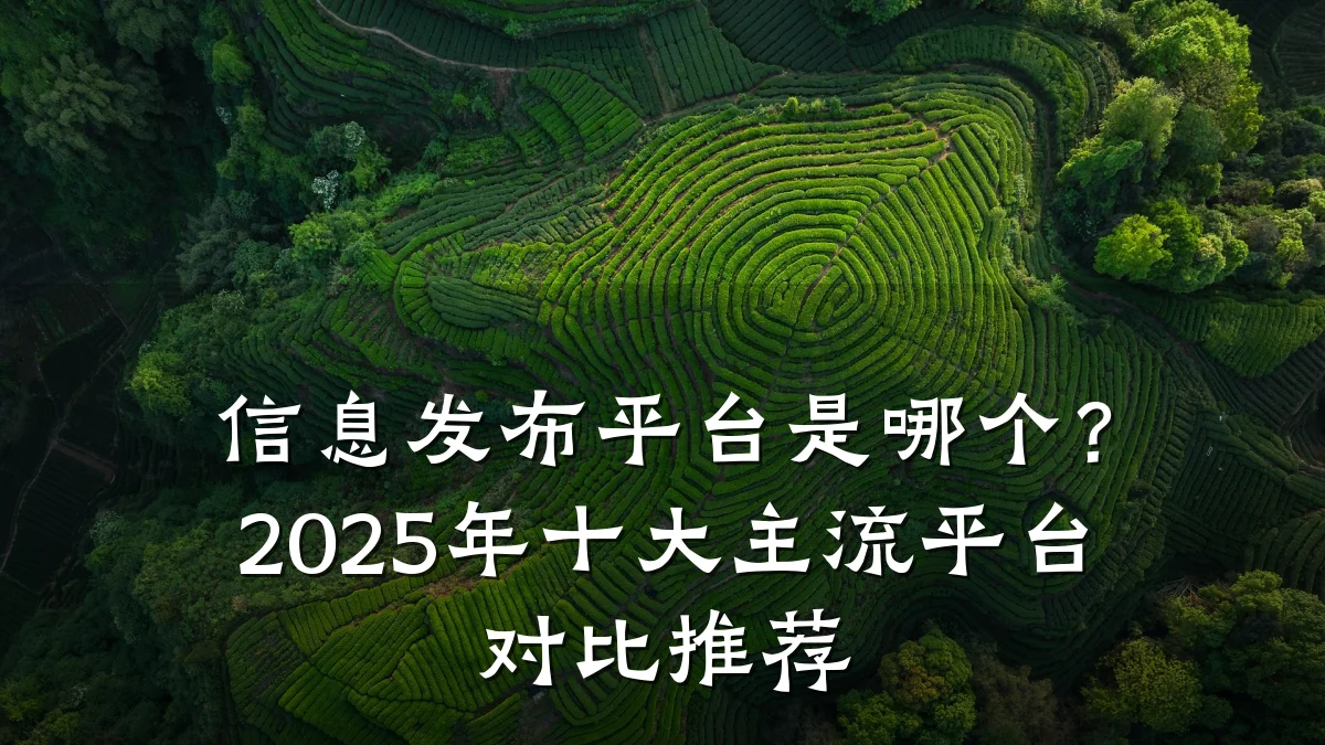 信息发布平台是哪个？2025年十大主流平台对比推荐