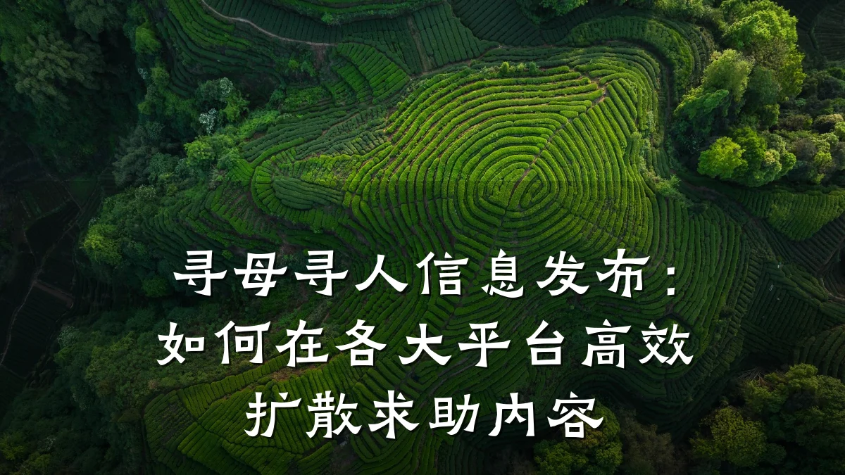 寻母寻人信息发布:如何在各大平台高效扩散求助内容