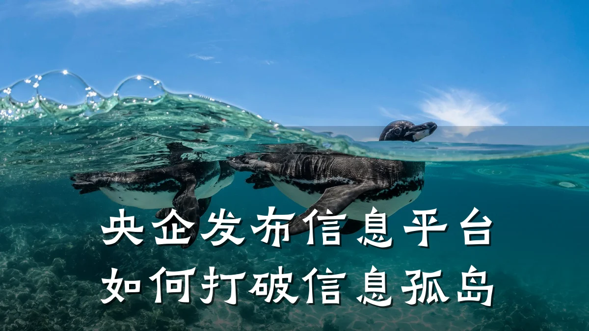央企发布信息平台如何打破信息孤岛
