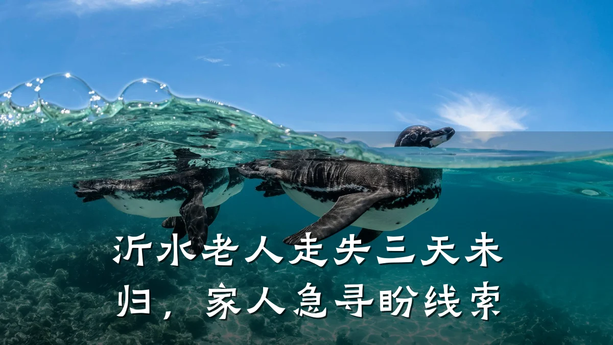 沂水老人走失三天未归,家人急寻盼线索