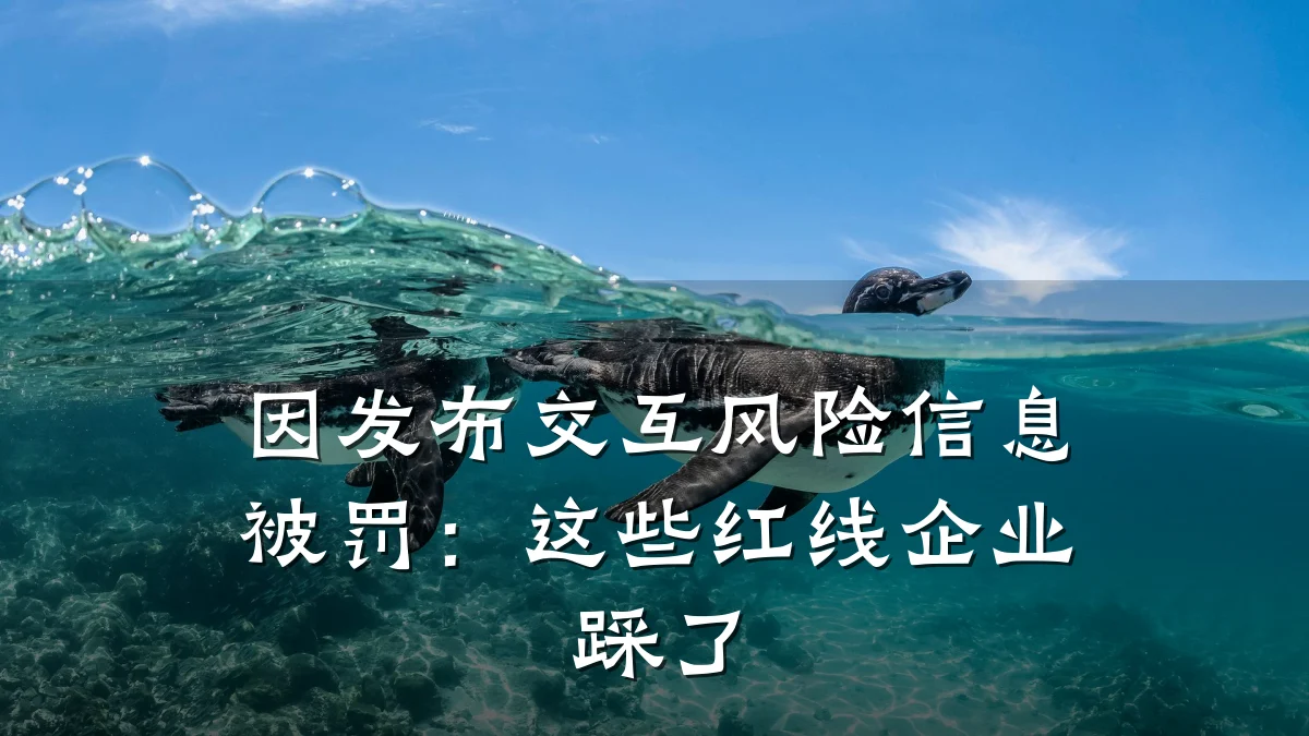 因发布交互风险信息被罚:这些红线企业踩了