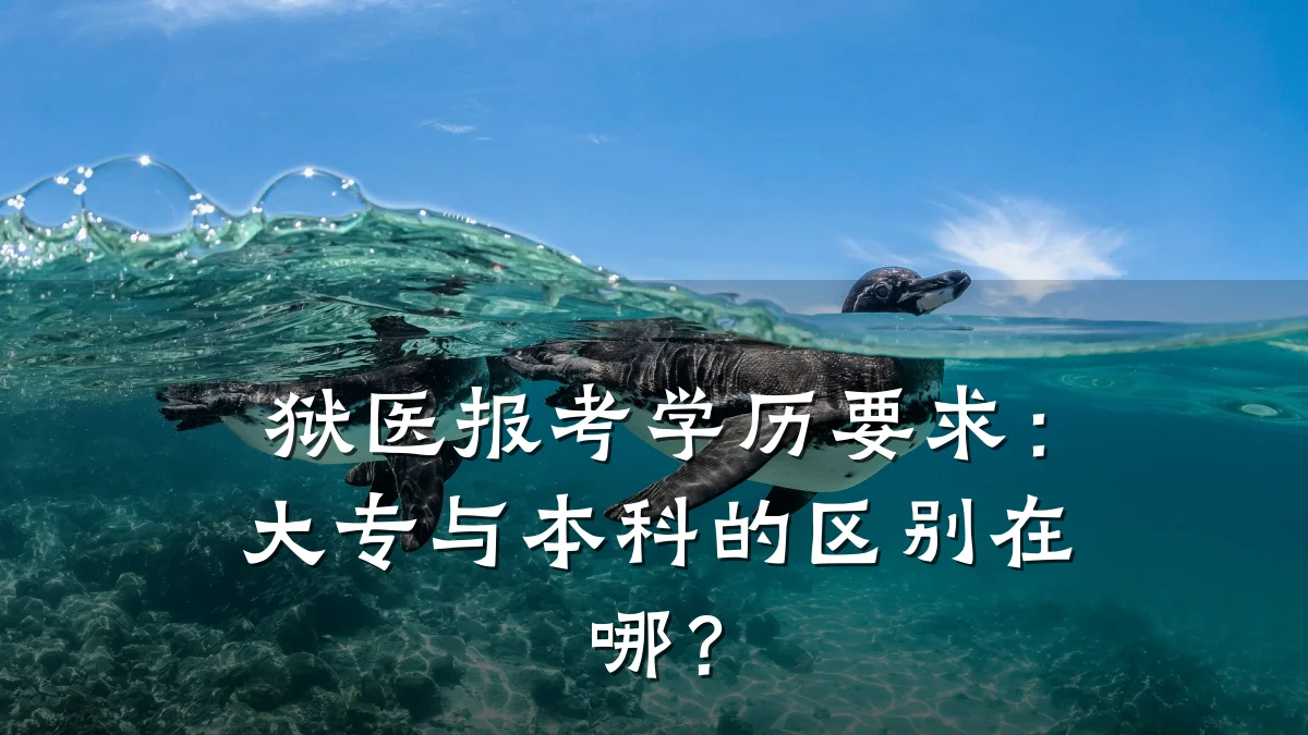 狱医报考学历要求：大专与本科的区别在哪？