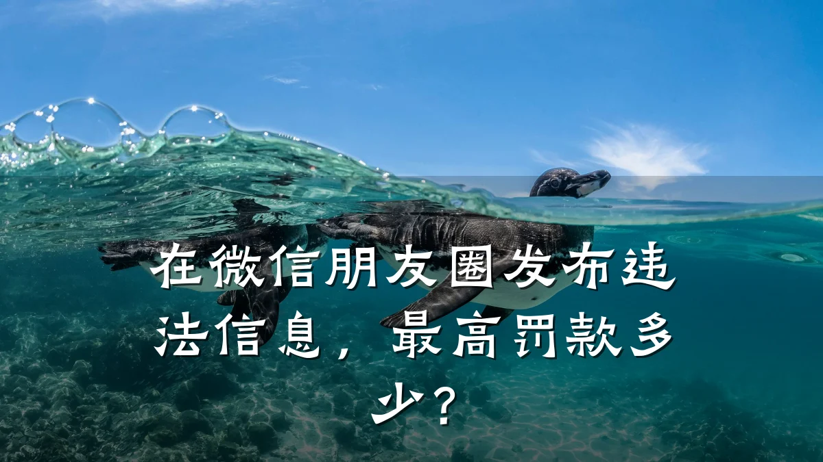 在微信朋友圈发布违法信息,最高罚款多少?