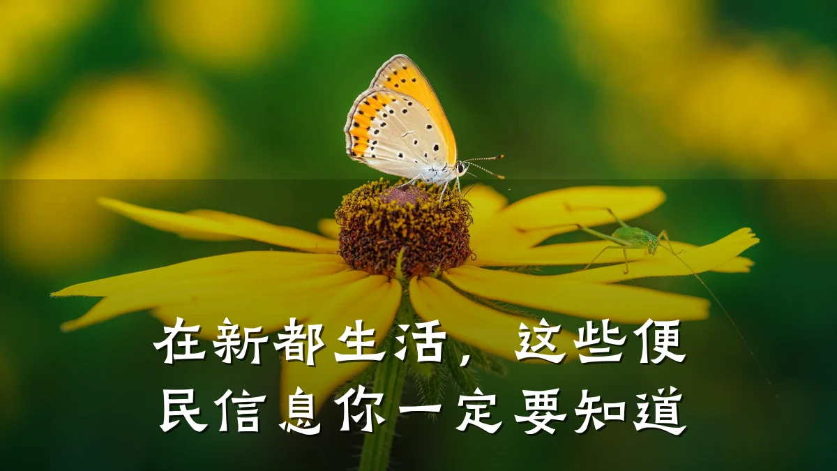 在新都生活,这些便民信息你一定要知道
