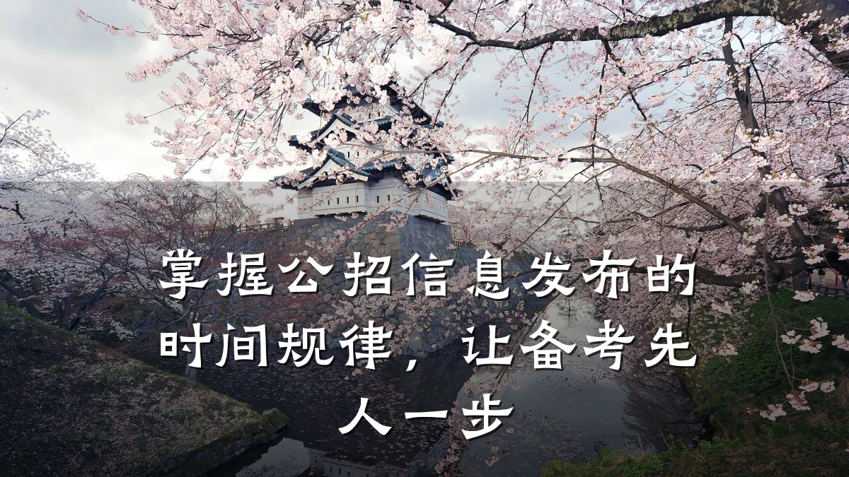 掌握公招信息发布的时间规律,让备考先人一步