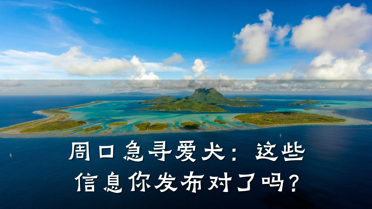 周口急寻爱犬:这些信息你发布对了吗?
