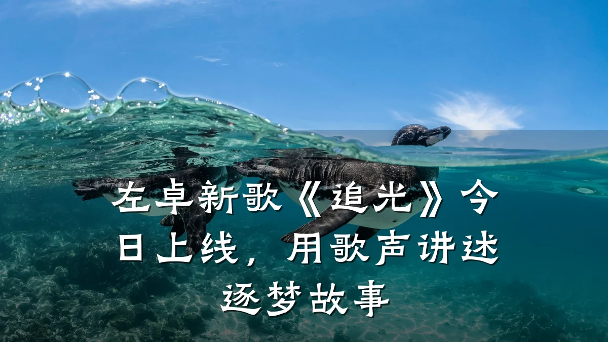 左卓新歌《追光》今日上线,用歌声讲述逐梦故事