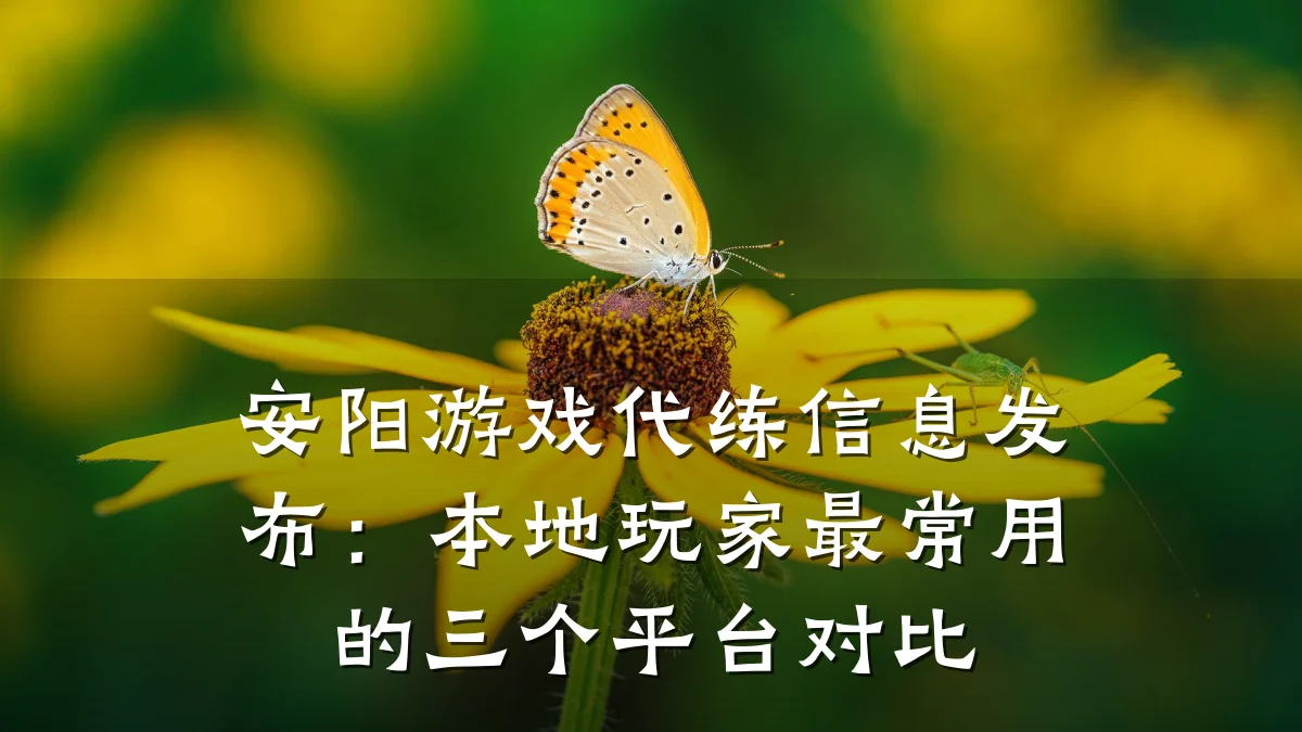 安阳游戏代练信息发布:本地玩家最常用的三个平台对比