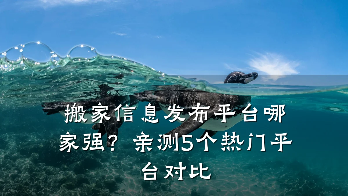 搬家信息发布平台哪家强?亲测5个热门平台对比