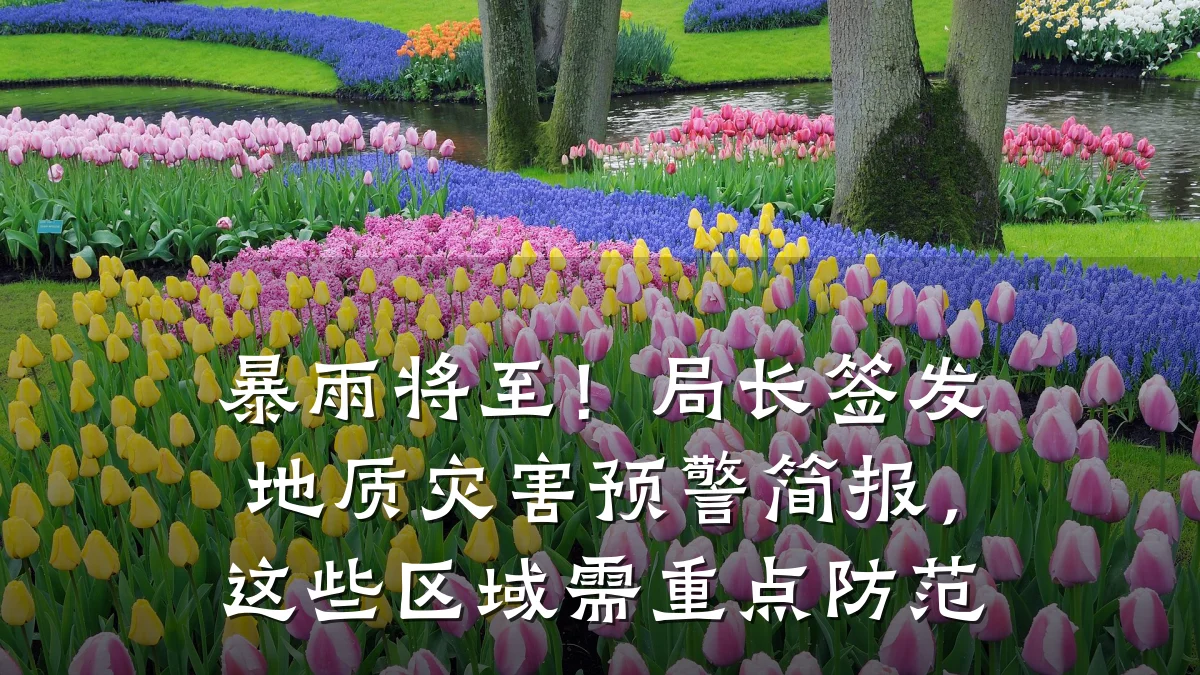 暴雨将至!局长签发地质灾害预警简报,这些区域需重点防范
