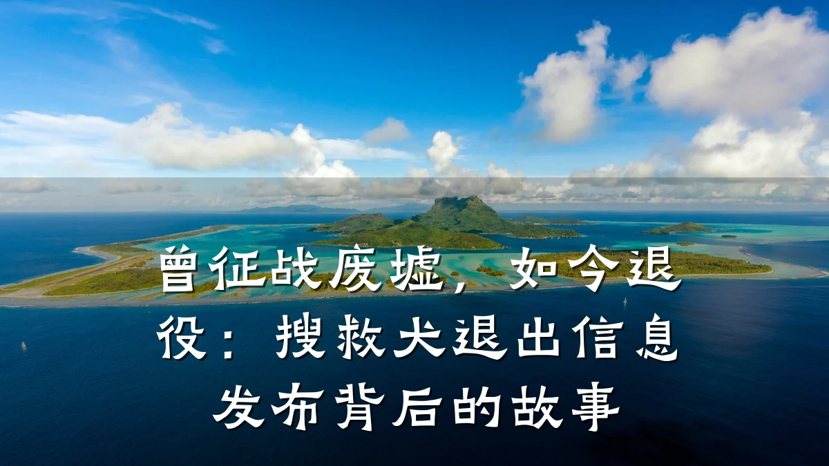 曾征战废墟,如今退役:搜救犬退出信息发布背后的故事
