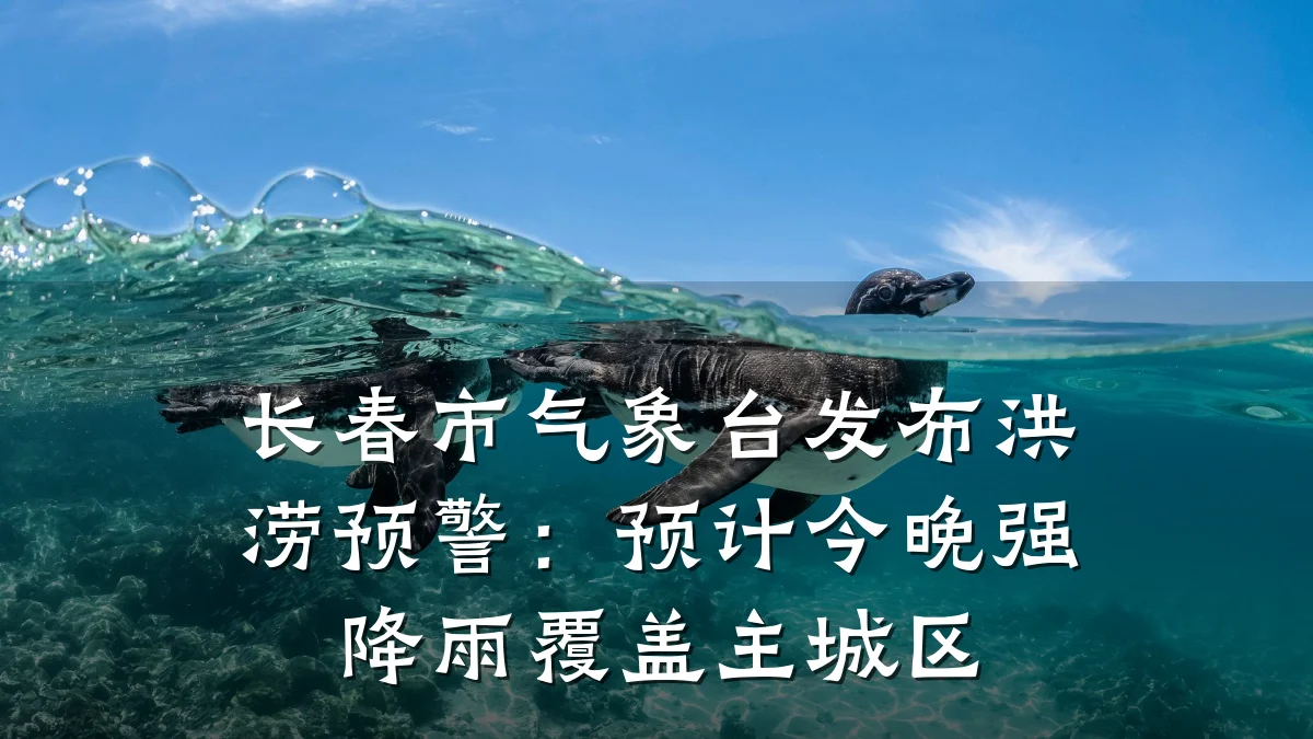 长春市气象台发布洪涝预警:预计今晚强降雨覆盖主城区
