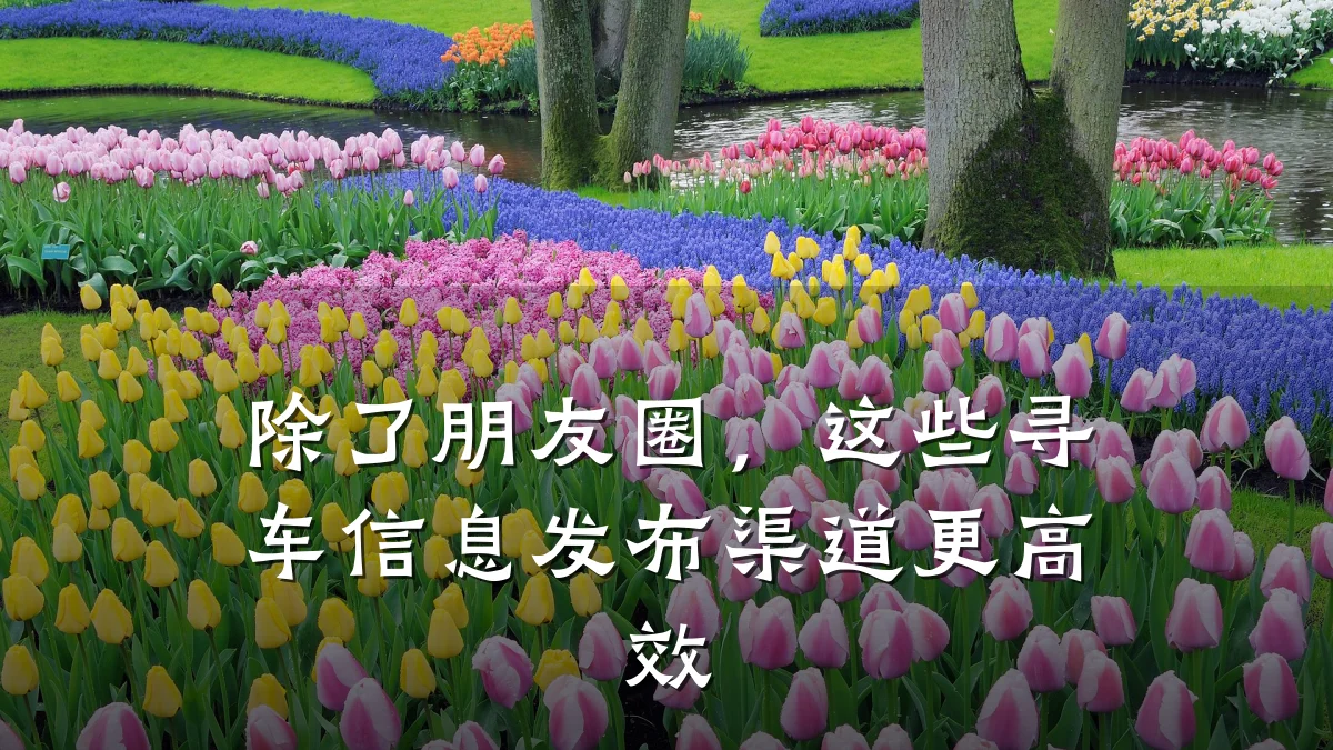 除了朋友圈,这些寻车信息发布渠道更高效