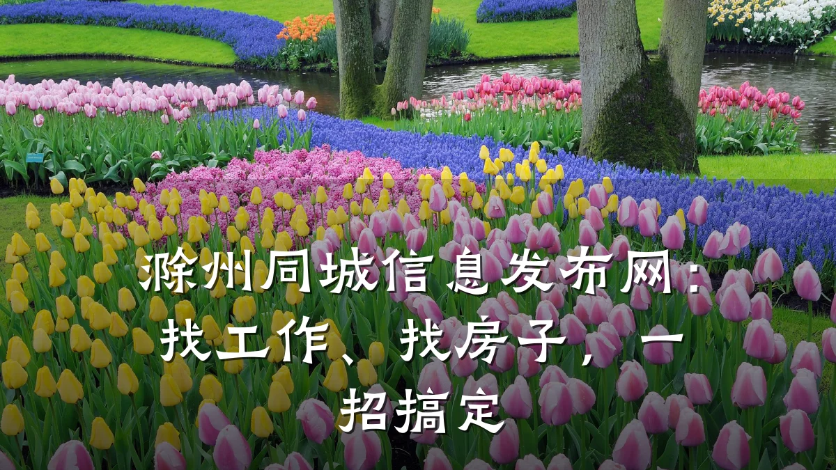 滁州同城信息发布网:找工作、找房子,一招搞定