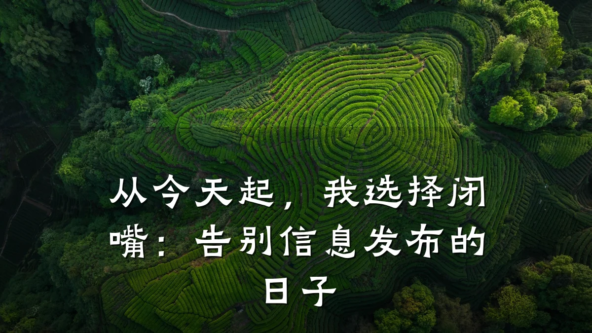 从今天起,我选择闭嘴:告别信息发布的日子