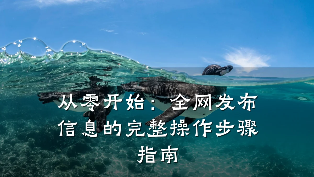 从零开始：全网发布信息的完整操作步骤指南