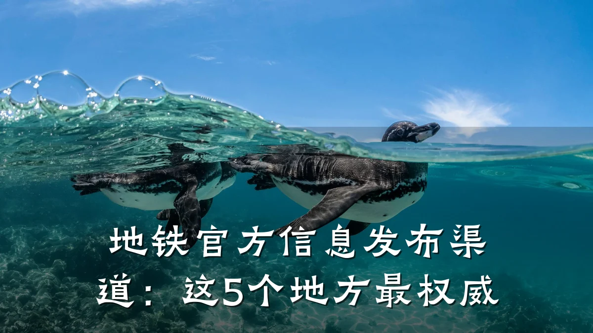 地铁官方信息发布渠道:这5个地方最权威
