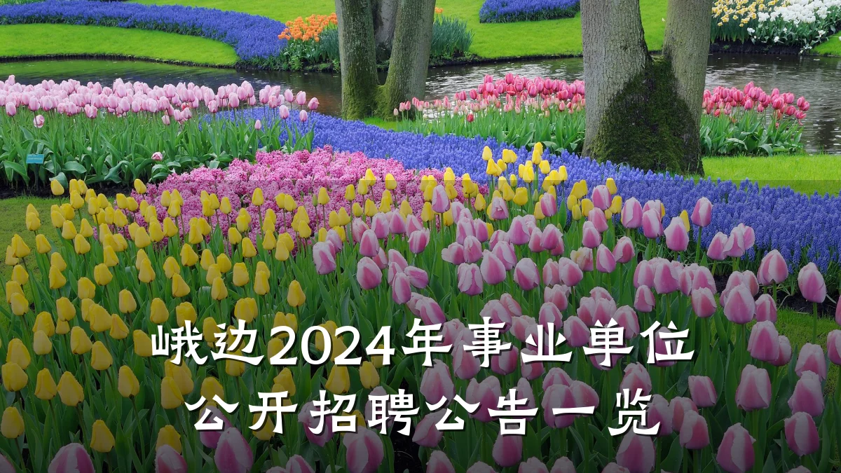 峨边2024年事业单位公开招聘公告一览