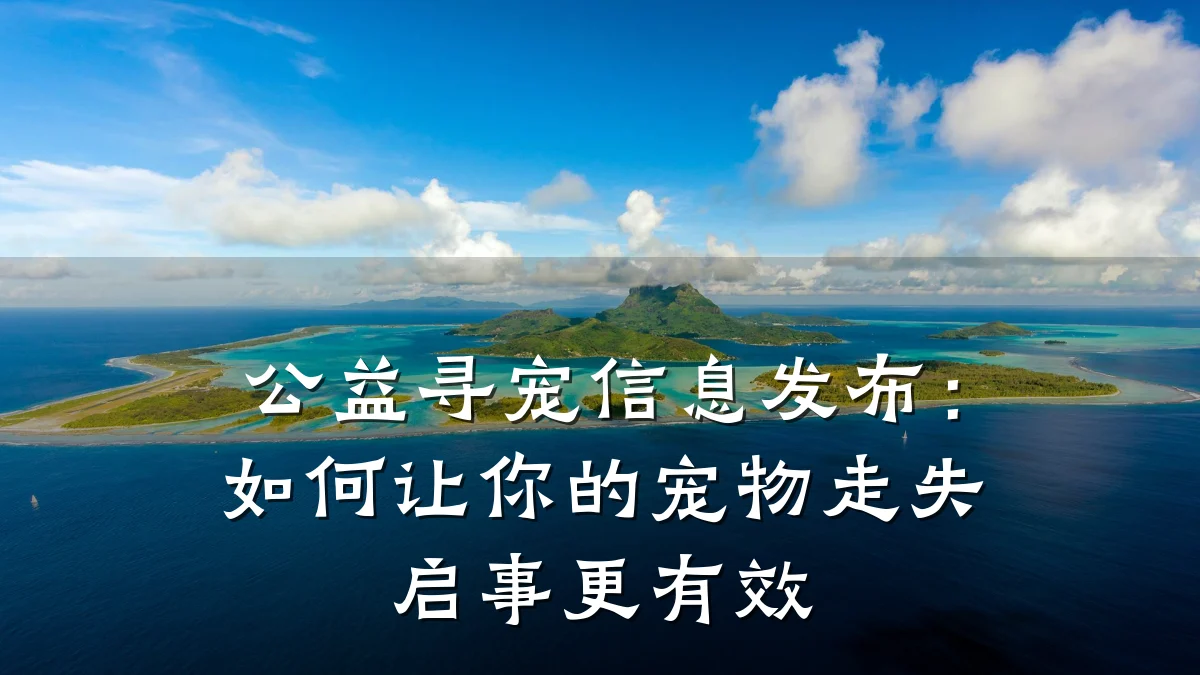 公益寻宠信息发布:如何让你的宠物走失启事更有效
