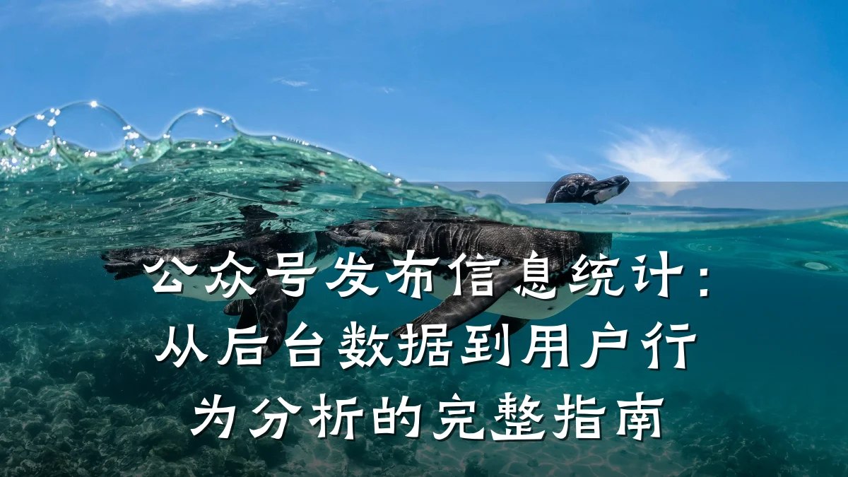 公众号发布信息统计：从后台数据到用户行为分析的完整指南