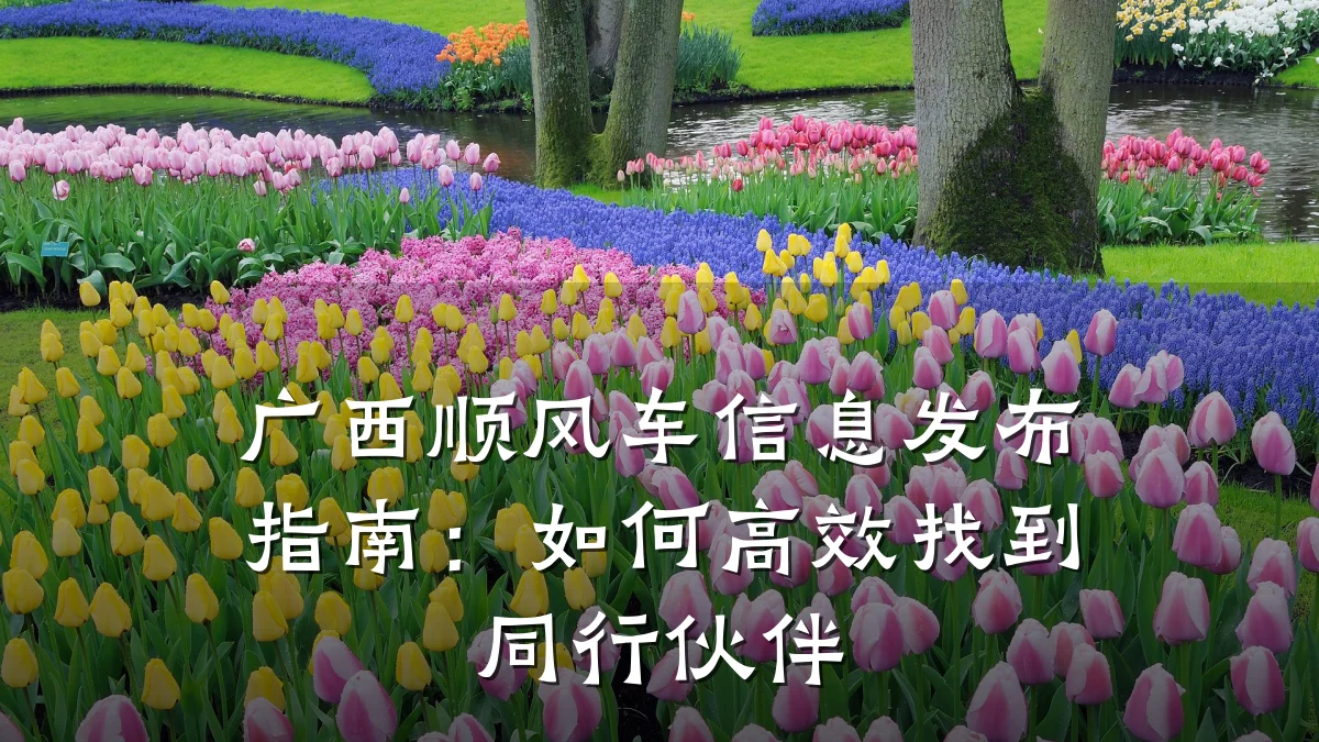 广西顺风车信息发布指南:如何高效找到同行伙伴
