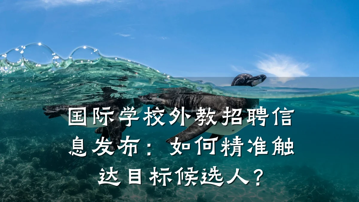 国际学校外教招聘信息发布:如何精准触达目标候选人?