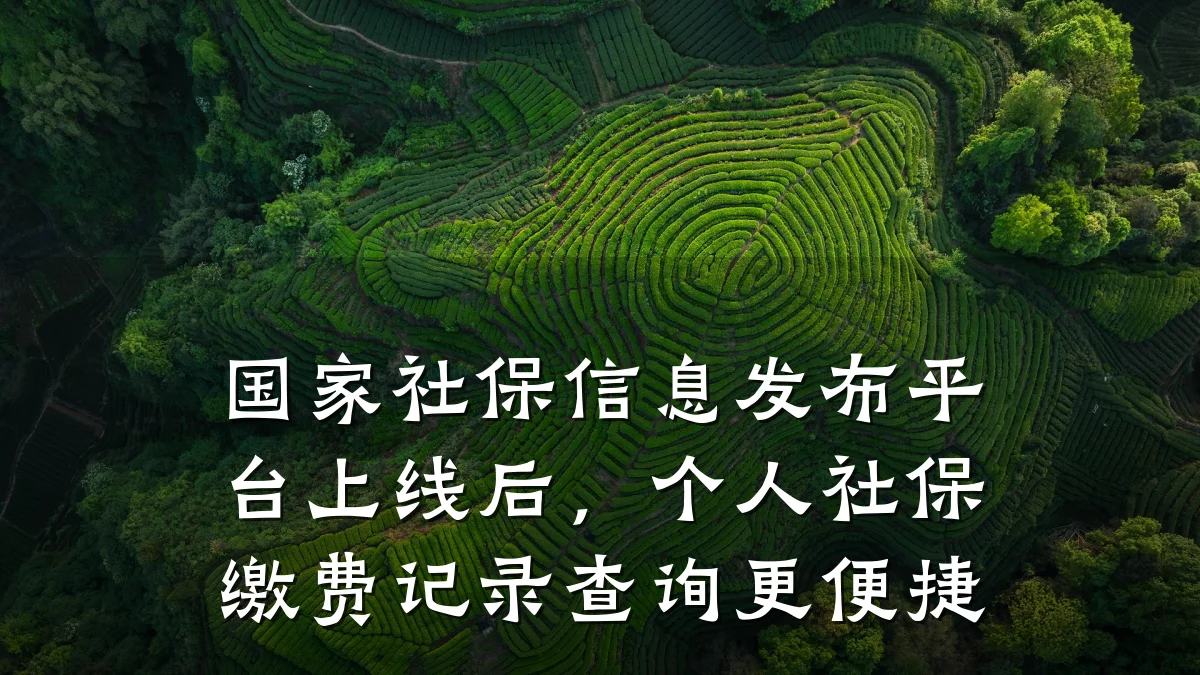 国家社保信息发布平台上线后，个人社保缴费记录查询更便捷