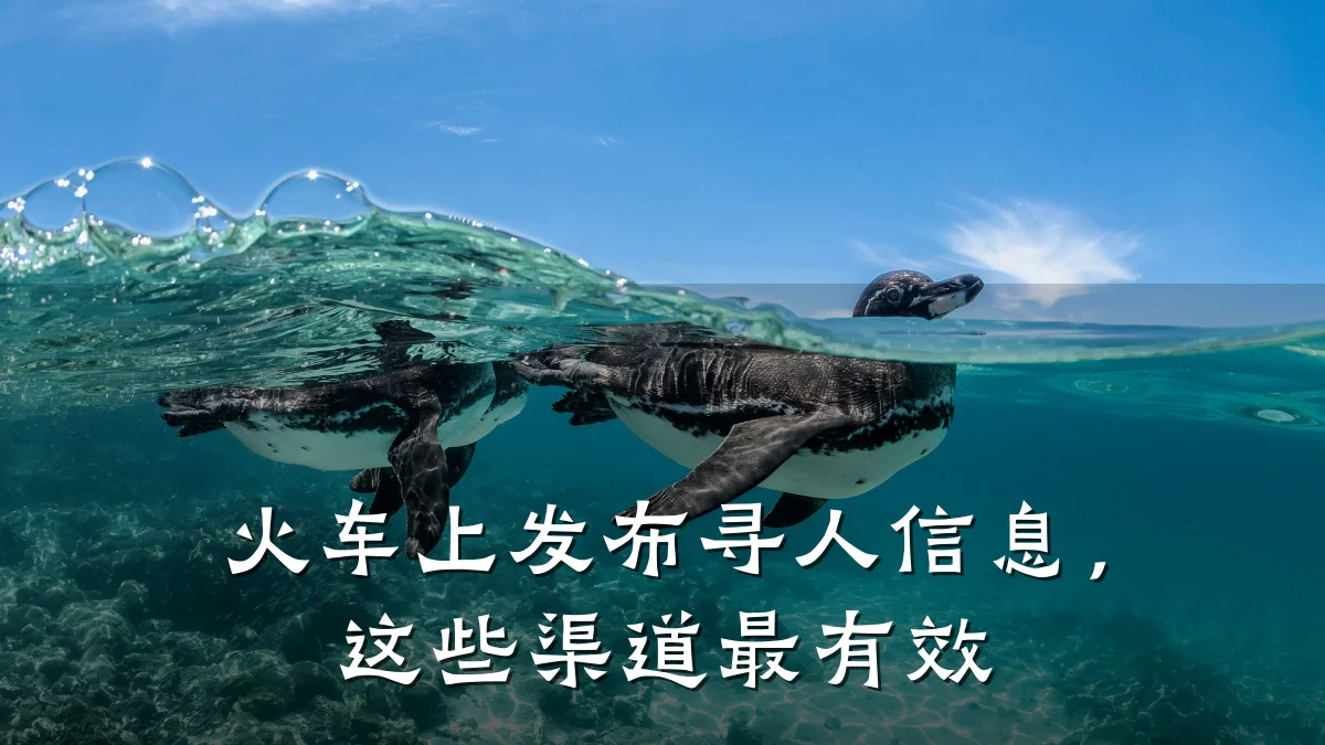 火车上发布寻人信息,这些渠道最有效