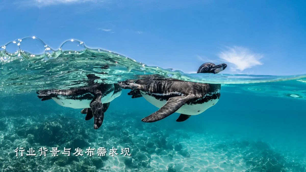 行业背景与发布需求现