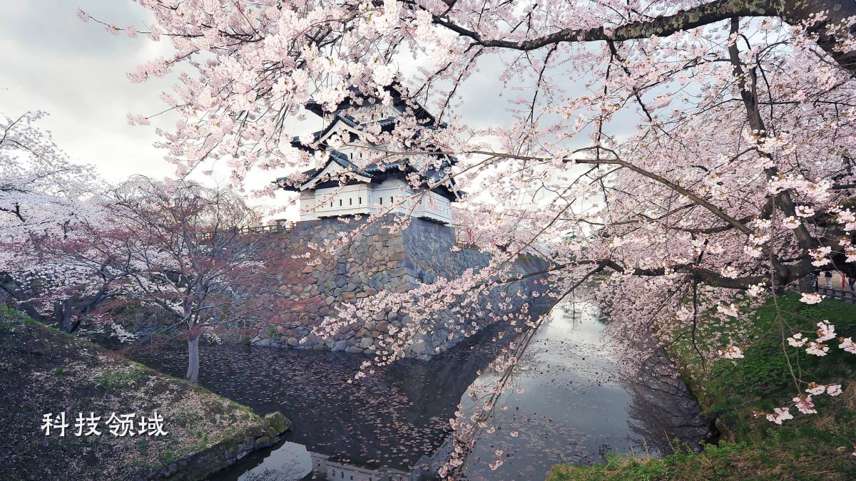 科技领域